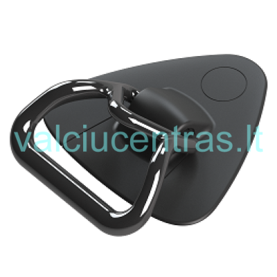 Borika klijuojama buksyravimo - nešimo kilpa